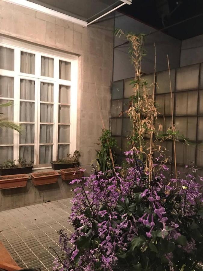 Casa Turin Ξενοδοχείο Μεξικό Εξωτερικό φωτογραφία